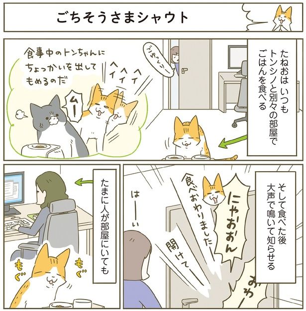 ちょっかいを出してもめるので… （C）卵山玉子／KADOKAWA