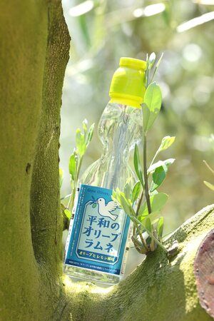【香川県小豆島・広島県・長崎県】平和の象徴・小豆島のオリーブの価値観を伝える「平和のオリーブラムネ」発売！