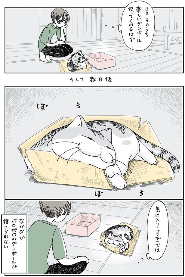 数日後 （C）キュルZ／KADOKAWA