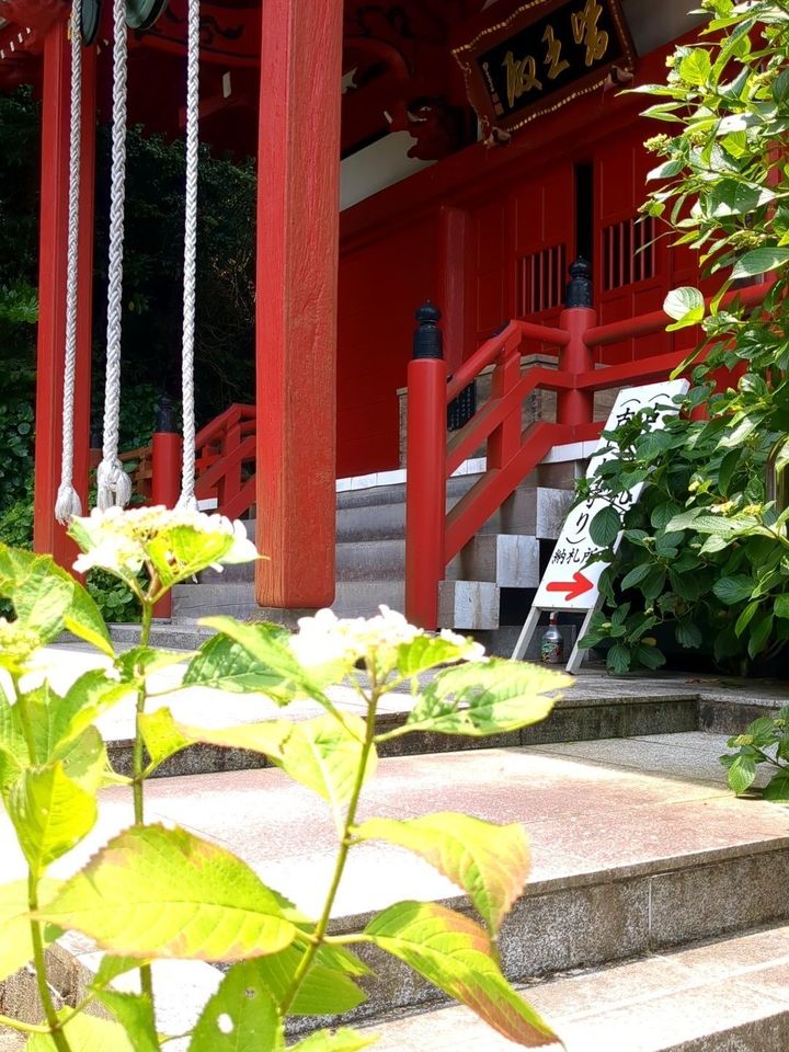 【波立薬師】いわき市のあじさい寺をご紹介！