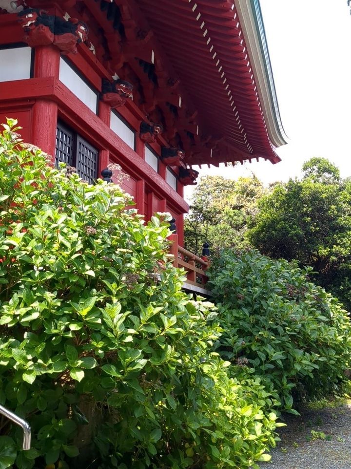 建物の周りも⋯