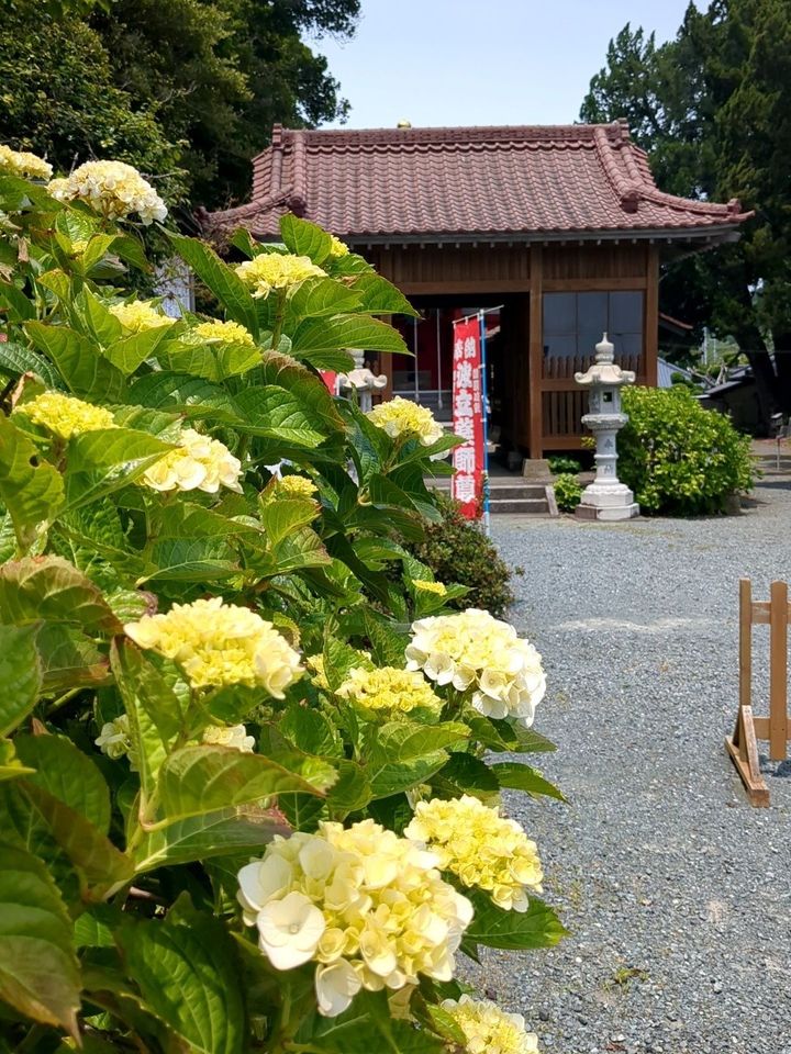 【波立薬師】いわき市のあじさい寺をご紹介！