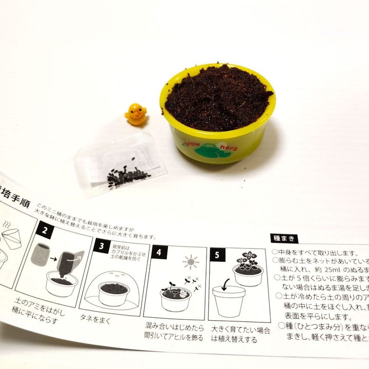 【キュンすぎるカプセル】ゆ桶でハーブを栽培って！？かわいすぎるでしょ！