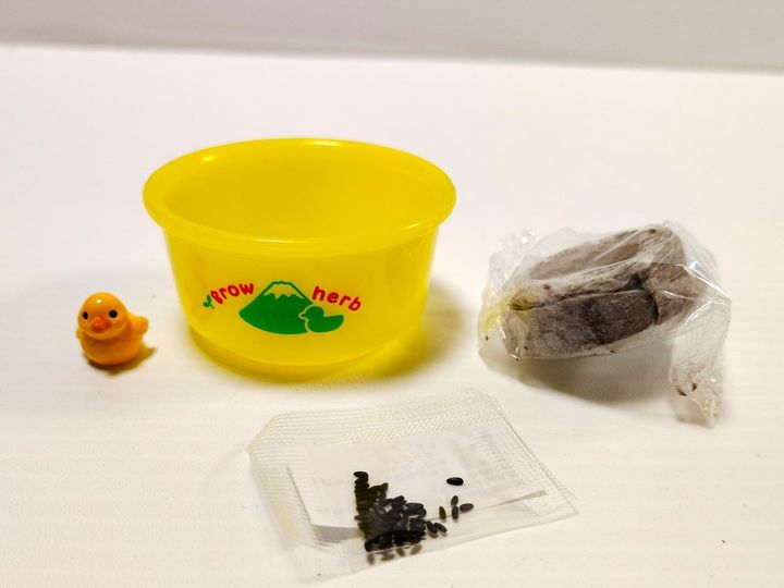 【キュンすぎるカプセル】ゆ桶でハーブを栽培って！？かわいすぎるでしょ！