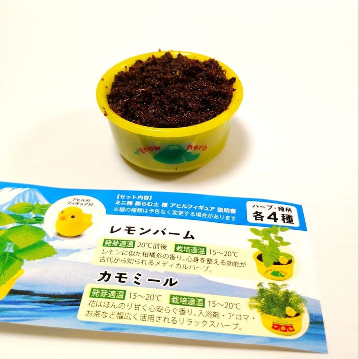 【キュンすぎるカプセル】ゆ桶でハーブを栽培って！？かわいすぎるでしょ！