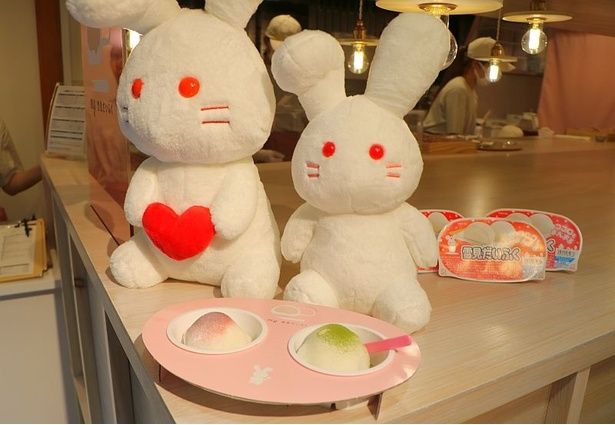 コンパクトながらかわいい店内で撮影も楽しめる