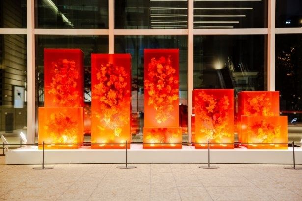 赤をテーマに力強く咲くRed Bloom Box