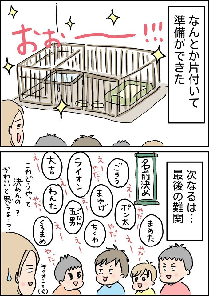 我が家に新しい家族ができました。とはいえ家は…【うちの男子（だんご）4兄弟・42】の画像3
