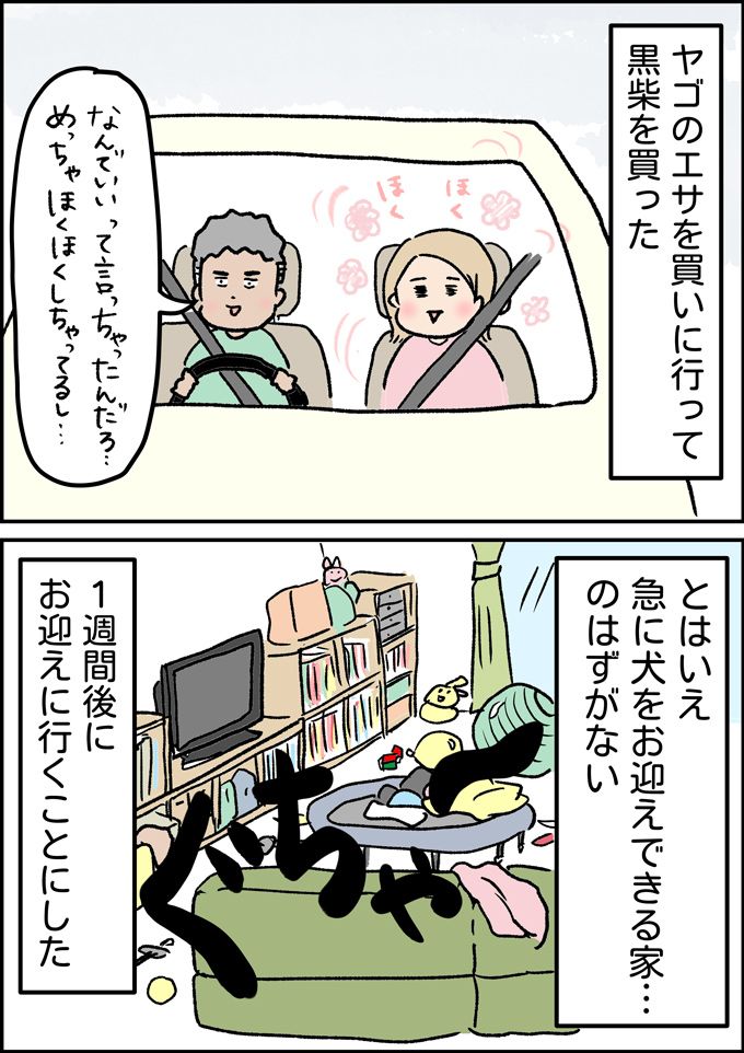 我が家に新しい家族ができました。とはいえ家は…【うちの男子（だんご）4兄弟・42】の画像1