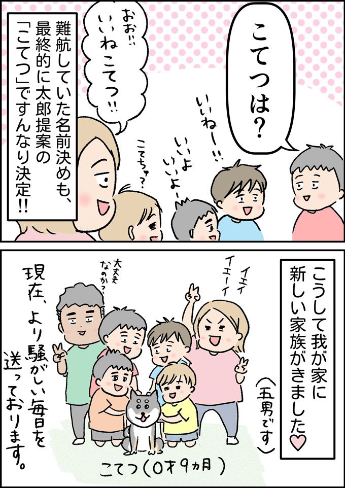 我が家に新しい家族ができました。とはいえ家は…【うちの男子（だんご）4兄弟・42】の画像4