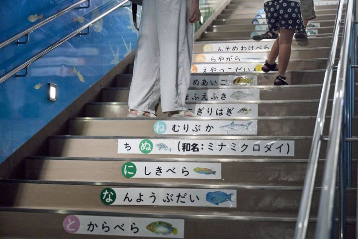 海中施設へ向かう階段にも魚の名前が