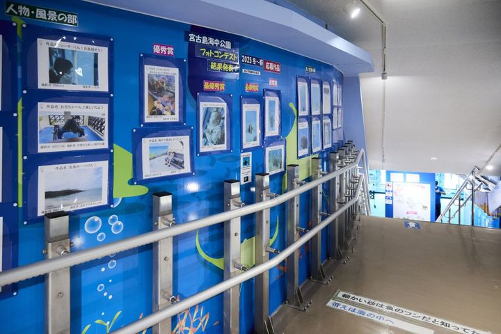 館内のパネル展示