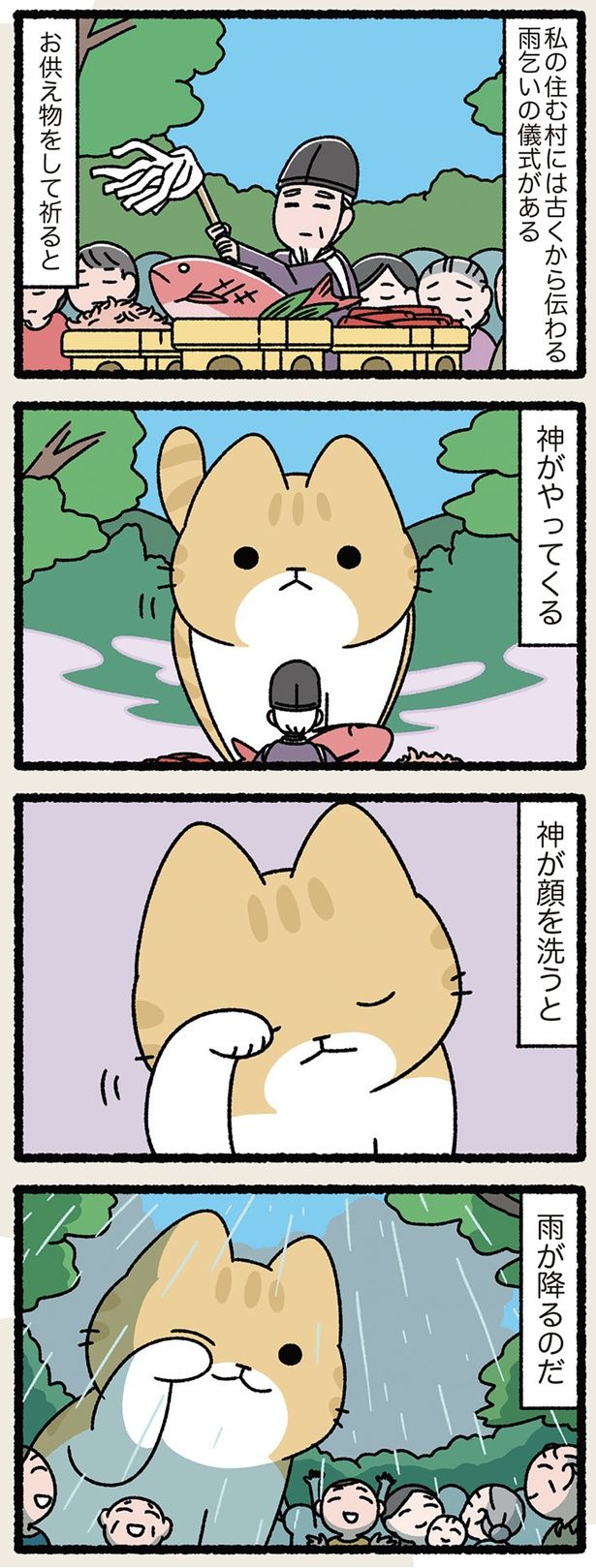 ねこが顔を洗うと雨が降る （C）ぱんだにあ／KADOKAWA