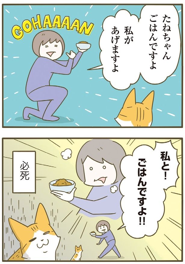 私と！ごはんですよ！！ （C）卵山玉子／KADOKAWA