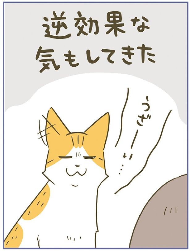 逆効果？ （C）卵山玉子／KADOKAWA