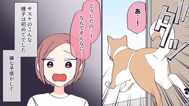犬を手放せと言った二世帯住宅の義母が階段から転落…異変に気付いた愛犬が真っ先に知らせてくれた話