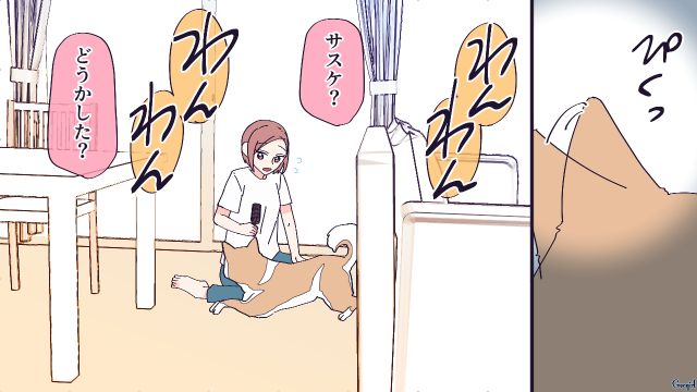 犬を手放せと言った二世帯住宅の義母が階段から転落…異変に気付いた愛犬が真っ先に知らせてくれた話