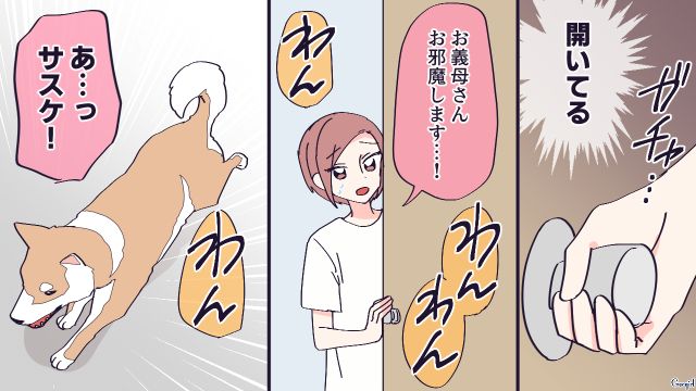 犬を手放せと言った二世帯住宅の義母が階段から転落…異変に気付いた愛犬が真っ先に知らせてくれた話