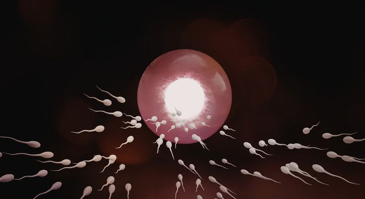 磁石の粒でなぜか精子が元気になった