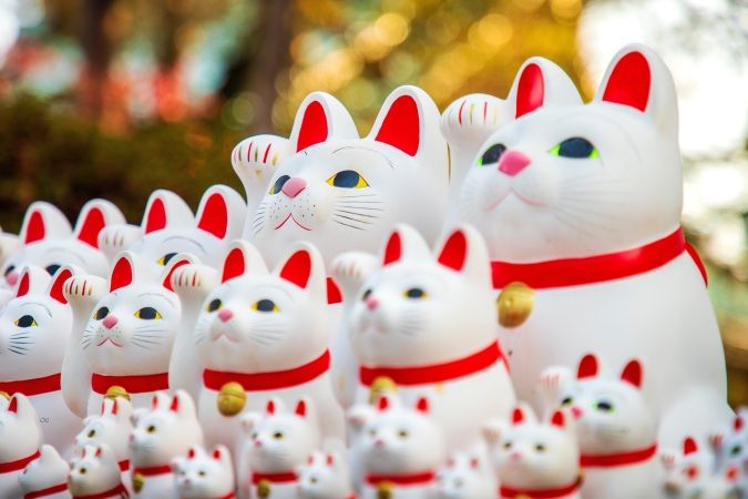 Jujumin Chu 豪徳寺の招き猫