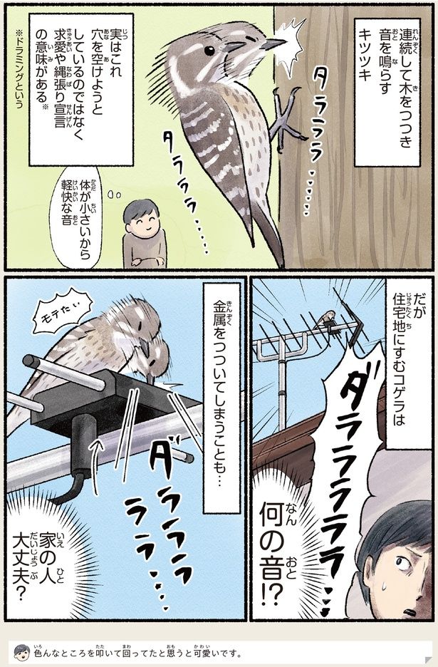 家の人大丈夫？ （C）piro piro piccolo／KADOKAWA