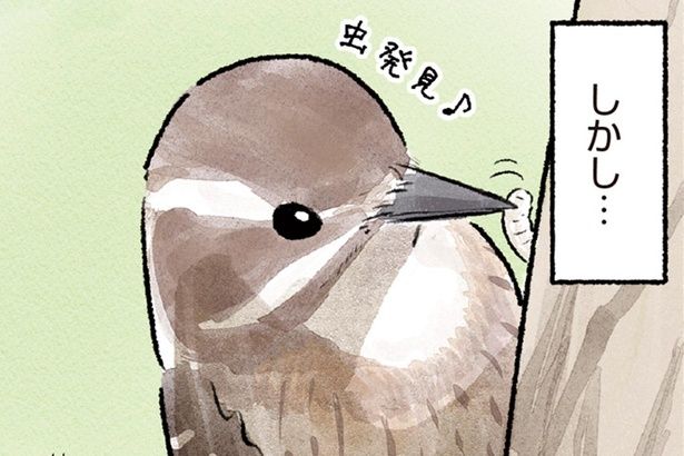 しかし… （C）piro piro piccolo／KADOKAWA