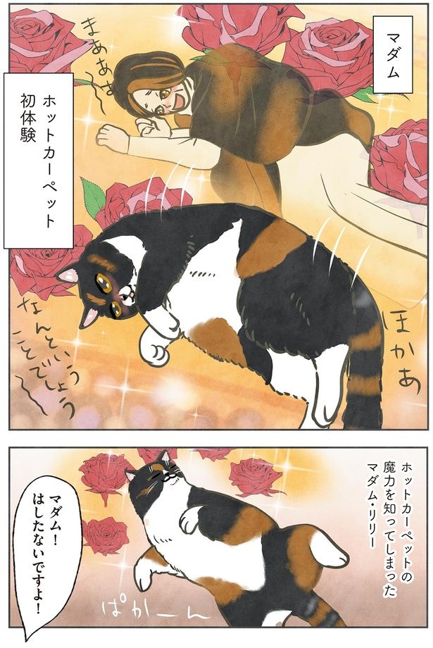 マダム！はしたないですよ！ （C）かんさび／KADOKAWA