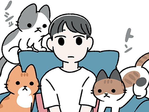 我が家の3匹のねこたち （C）ぱんだにあ／KADOKAWA