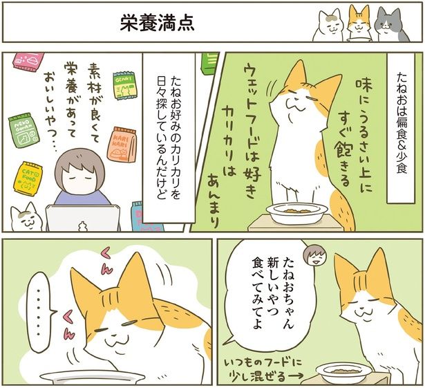 新しいおやつ食べてみてよ （C）卵山玉子／KADOKAWA