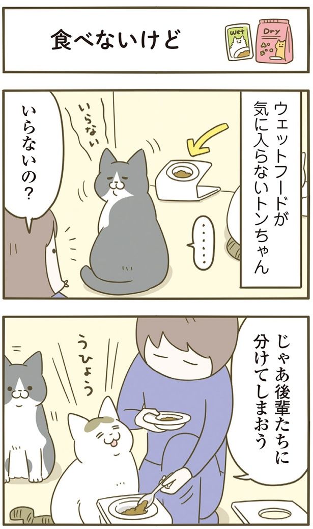 いらないの？ （C）卵山玉子／KADOKAWA