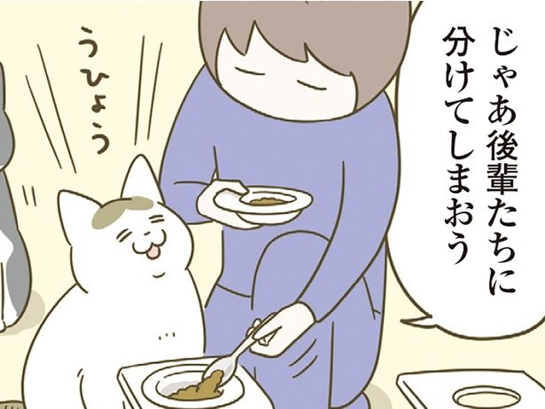 分けてしまおう （C）卵山玉子／KADOKAWA