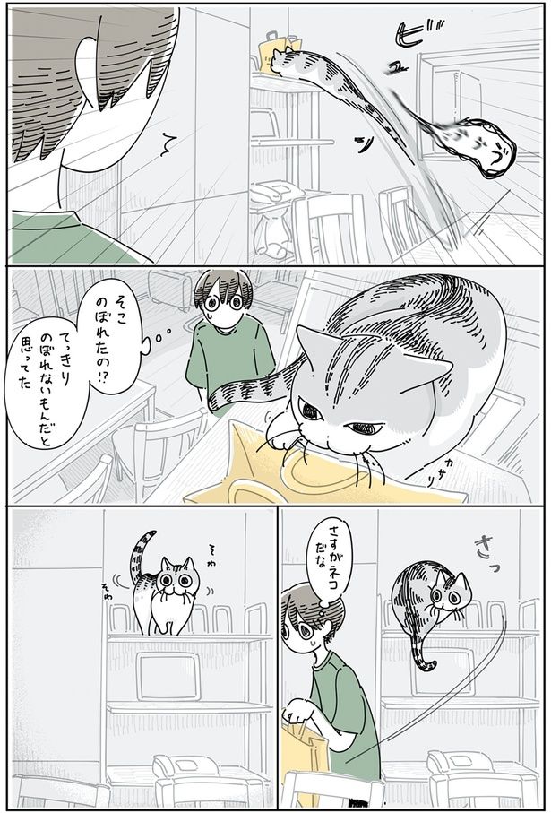 そこのぼれたの！？ （C）キュルZ／KADOKAWA