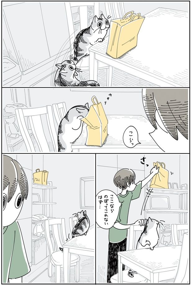 こらっ （C）キュルZ／KADOKAWA