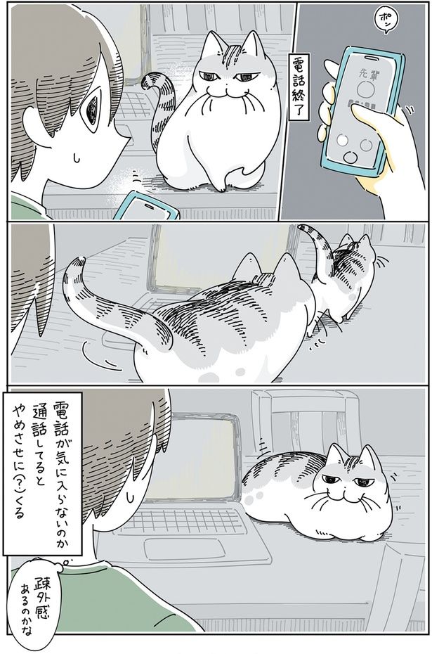 やめさせに（？）くる （C）キュルZ／KADOKAWA