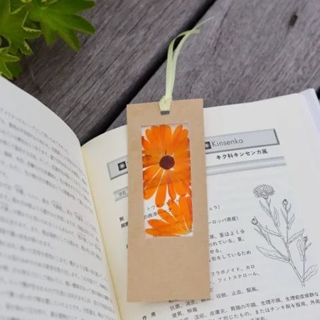 【北海道白老町】「ナチュの森」で「カレンデュラフェス」開催！カレンデュラの花摘みやクラフト体験も