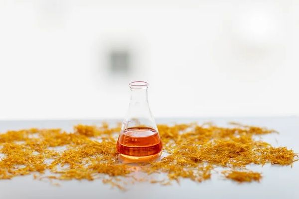 【北海道白老町】「ナチュの森」で「カレンデュラフェス」開催！カレンデュラの花摘みやクラフト体験も