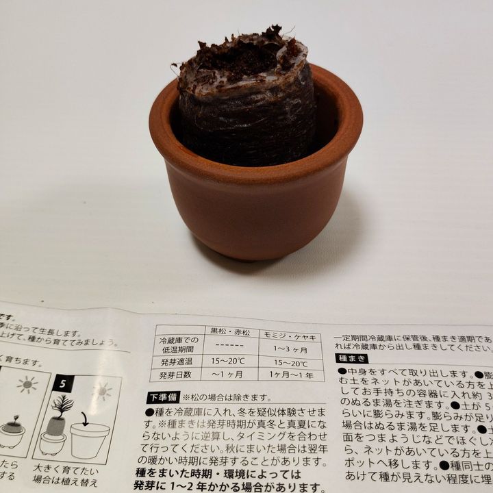 【ドストライクすぎるカプセル】ちっちゃい盆栽！？渋すぎるでしょ！