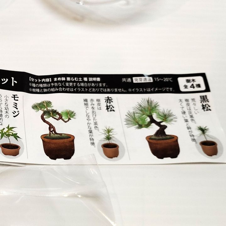 【ドストライクすぎるカプセル】ちっちゃい盆栽！？渋すぎるでしょ！