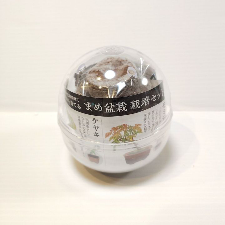 【ドストライクすぎるカプセル】ちっちゃい盆栽！？渋すぎるでしょ！
