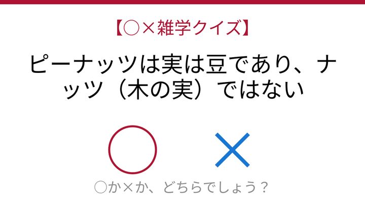 【○×雑学クイズ】これ本当？ピーナッツの正体に驚愕！の問題画像