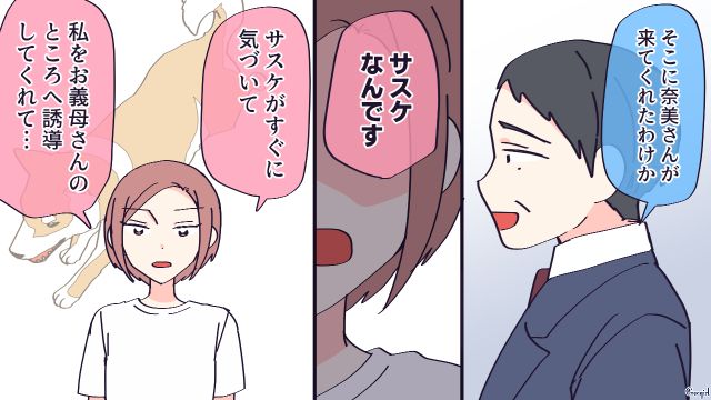 犬を手放せと言った同居の義母が階段から転落…愛犬のおかげで大事には至らなかったことを受け入れられなかった話 