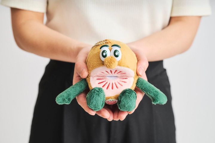 【神付録】売り切れ前に欲しい！可愛すぎるゼスプリ「キウイブラザーズ」のぬいぐるみエコバッグが話題