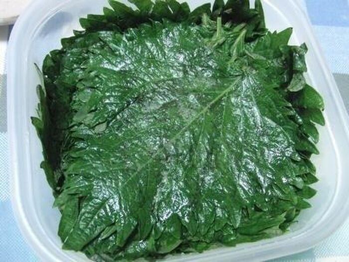 2カ月保存OK！「大葉の塩漬け」が万能すぎる。常備菜におすすめです♡