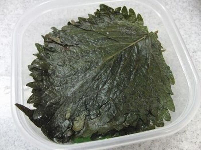 2カ月保存OK！「大葉の塩漬け」が万能すぎる。常備菜におすすめです♡