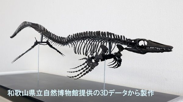 【三重県鳥羽市】「鳥羽水族館」で古代生物の企画展！生体やレプリカの展示・恐竜飼育の架空映像など