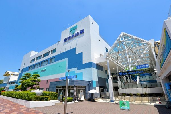 【三重県鳥羽市】「鳥羽水族館」で古代生物の企画展！生体やレプリカの展示・恐竜飼育の架空映像など