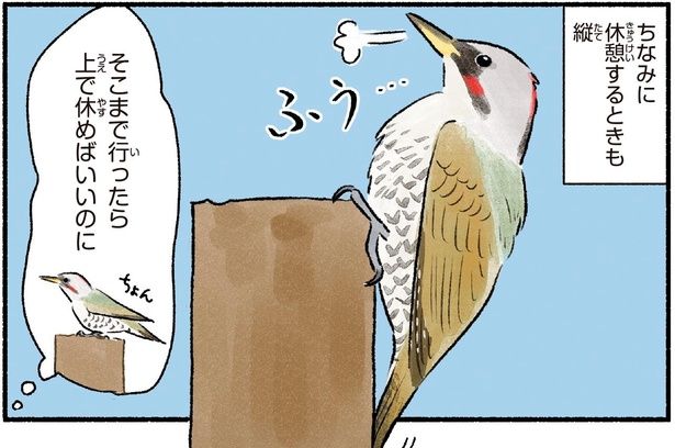 休憩するときも縦 （C）piro piro piccolo／KADOKAWA