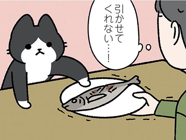 引かせてくれない （C）ぱんだにあ／KADOKAWA
