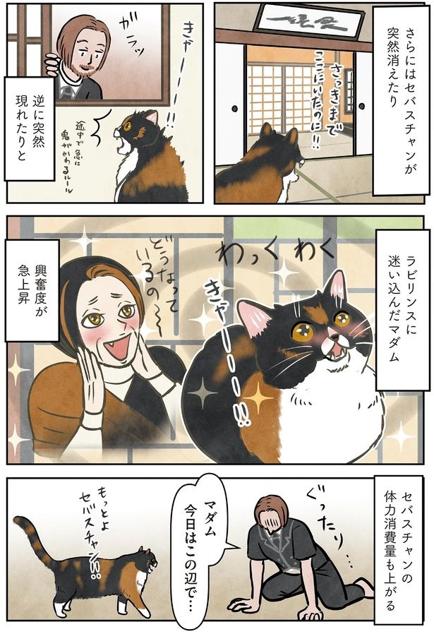 ラビリンスに迷い込んだマダム （C）かんさび／KADOKAWA