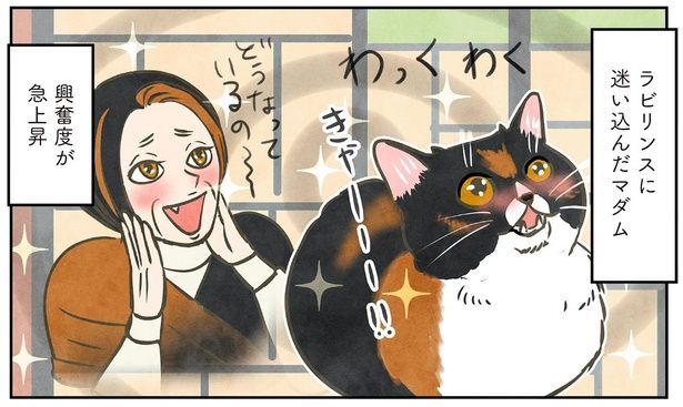 興奮度が急上昇 （C）かんさび／KADOKAWA